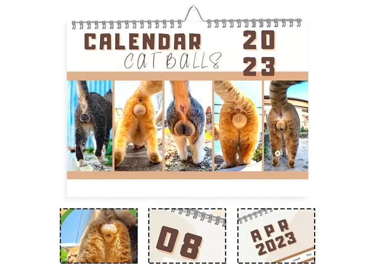 《2023年貓蛋蛋月曆》喜歡貓貓的朋友這款商品肯定是必收的~對吧XD | 宅宅新聞