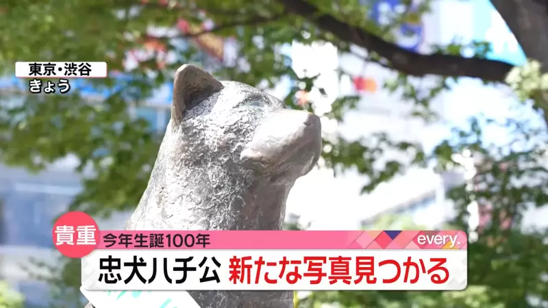 日本最有名的狗狗《忠犬八公》今年100歲生日，澀谷站前的八公像大家有去看過嗎？ | 宅宅新聞