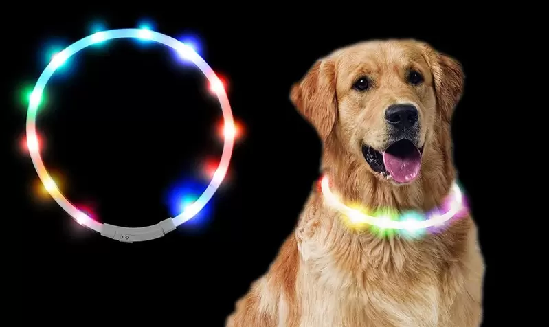 《寵物發光項圈》狗狗戴起來不會覺得很閃很刺眼嗎？日本飼主親自實驗的結果是…… | 宅宅新聞