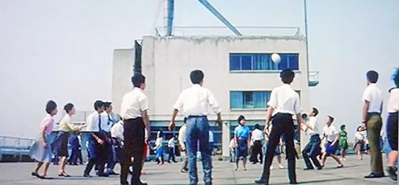 《傳統日本公司的習慣》午休時間員工一起打排球？這種職場文化為什麼消失了？ | 宅宅新聞