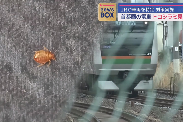 【交通】床蝨進軍列車太可怕！JR東日本確認已進行煙霧滅蟲 (片) | 劍心．回憶