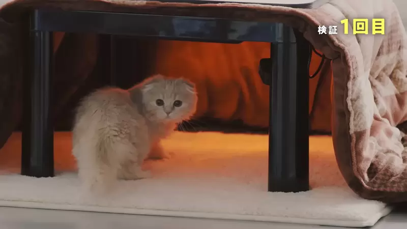 認真研究《貓咪最喜歡的暖桌溫度》實驗多次的結果是…不知道XD | 宅宅新聞