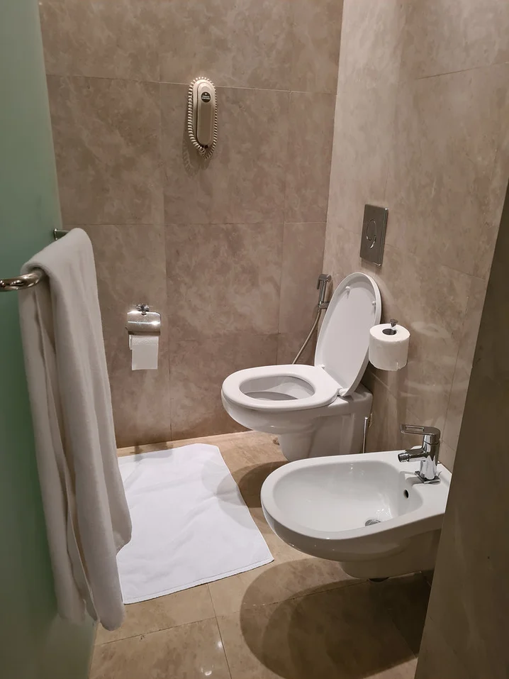 飯店廁所竟有「2個馬桶」到底幹嘛用？　真實用途曝光「不要真的用來上廁所」 – BuzzHand